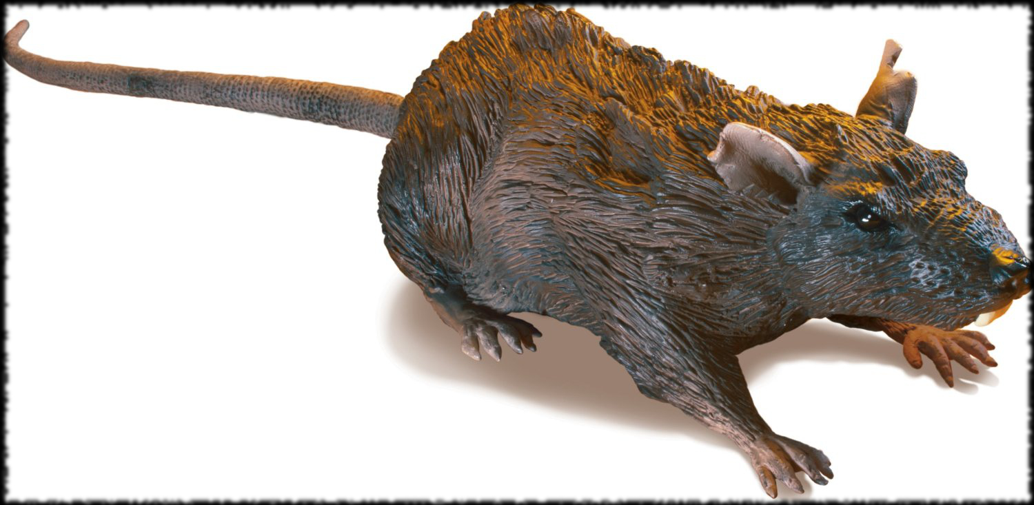 Halloween party trick ideas deluxe life like rat for sale