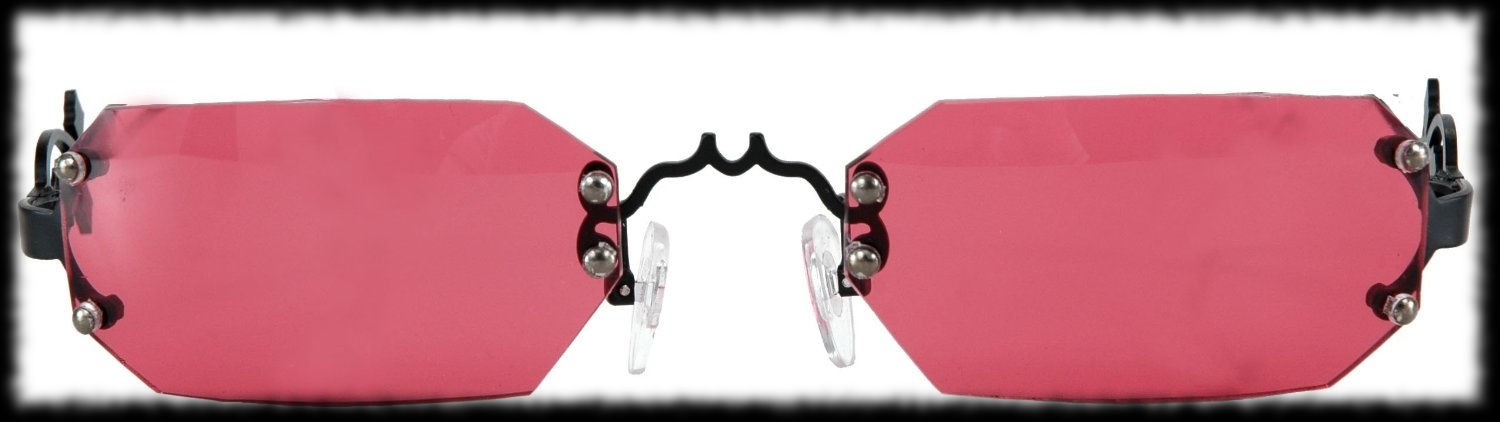 Casket Shaped Sunglasses Halloween Costume Accessory